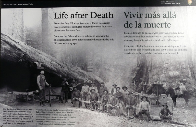 P1190875.jpg